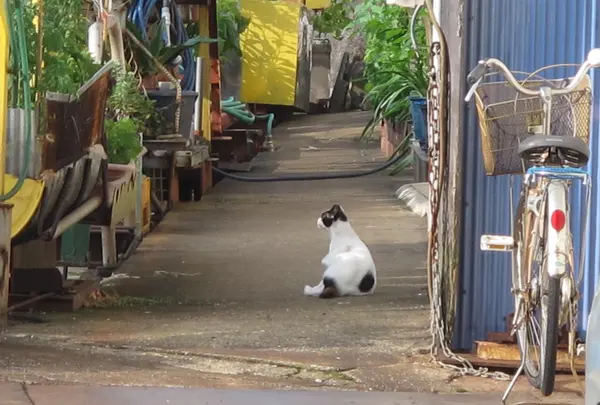 厳原町今屋敷