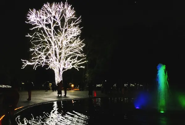 京都府立植物園の写真・動画_image_209824
