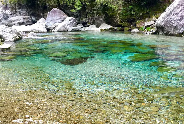 安居渓谷の写真・動画_image_232698