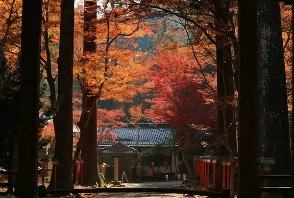 日吉大社