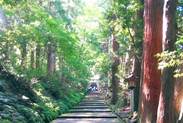 白山比咩神社の写真・動画_image_219151