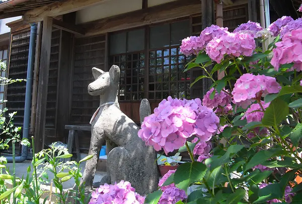 第17番　極楽寺
