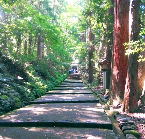 静寂の中を歩く～表参道
