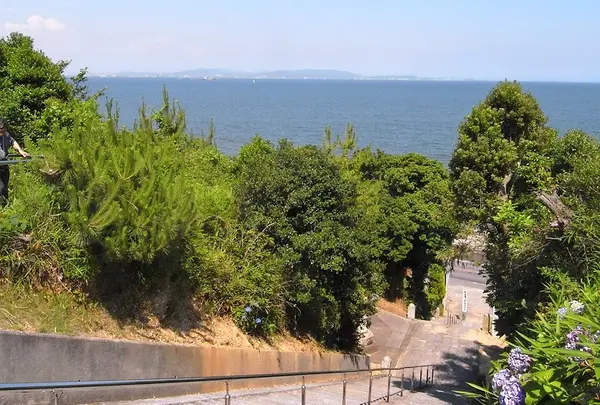 海が見えます