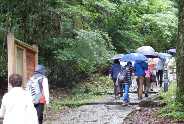 岩村城跡の写真・動画_image_144522