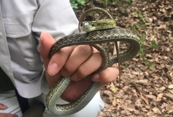 触れ合いにもチャレンジ‼