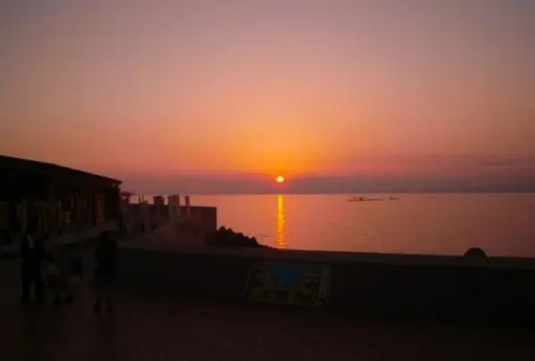 夕刻が狙いめ