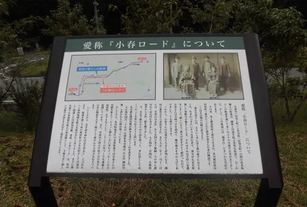ラベンダーパーク多可の写真・動画_image_96685
