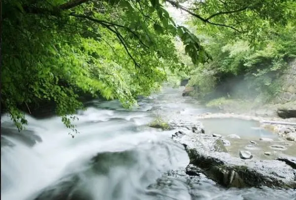 旅館藤もとの写真・動画_image_210412