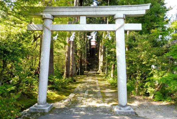 春日神社の写真・動画_image_228594