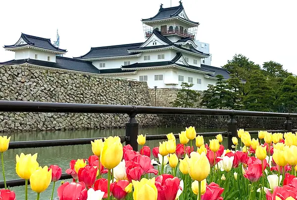 富山城址公園