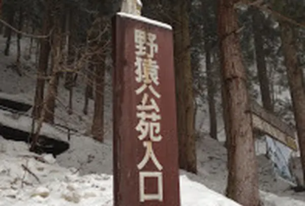 地獄谷野猿公苑の写真・動画_image_19428