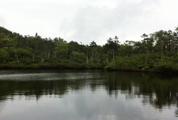 七ツ池の写真・動画_image_138689