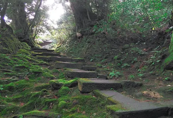 鐘楼への石段