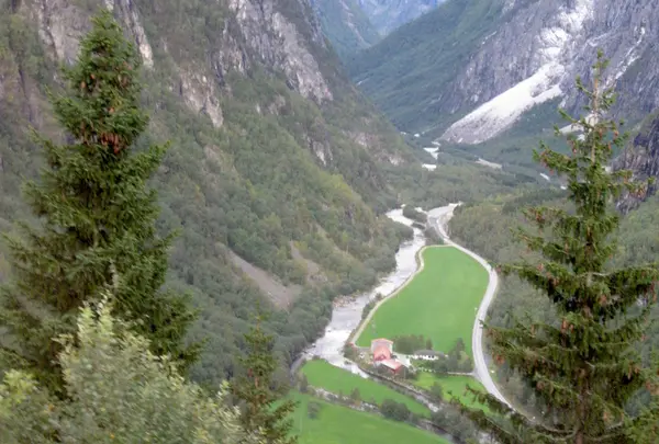 バスからの眺め