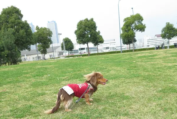 臨港パークの写真・動画_image_156435