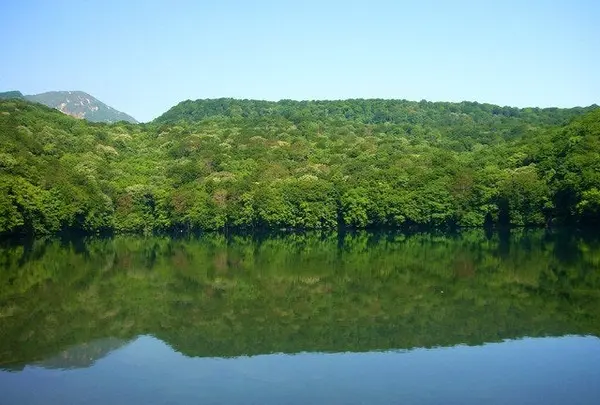 蔦七沼