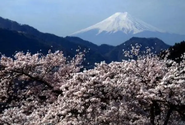 お伊勢山