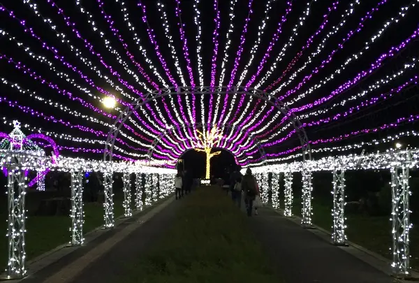 元渕江公園