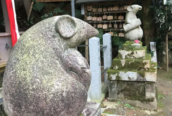 金戒光明寺の写真・動画_image_54238