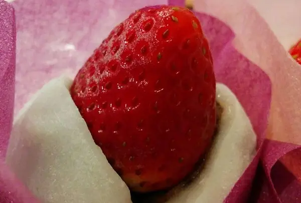 （株）すずらん本舗 住吉町本店