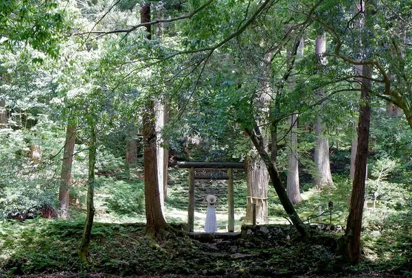 平泉寺白山神社