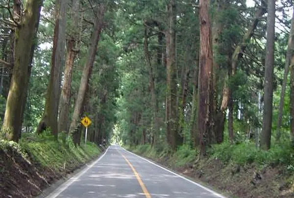 例幣使街道