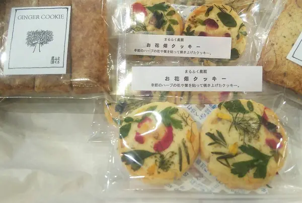 高松中央商店街の写真・動画_image_297168