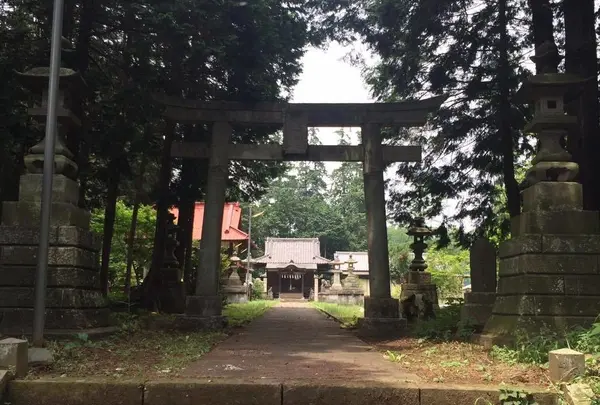 麦雑穀工房 マイクロブルワリーの写真・動画_image_184659