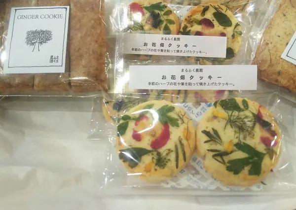 コレ、かわいい💛