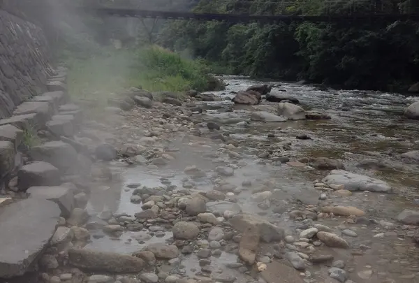 秋の宮温泉郷（癒し小町の湯）
