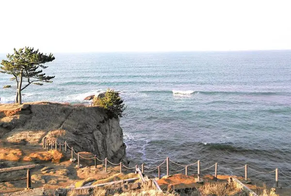 加佐の岬の写真・動画_image_342371