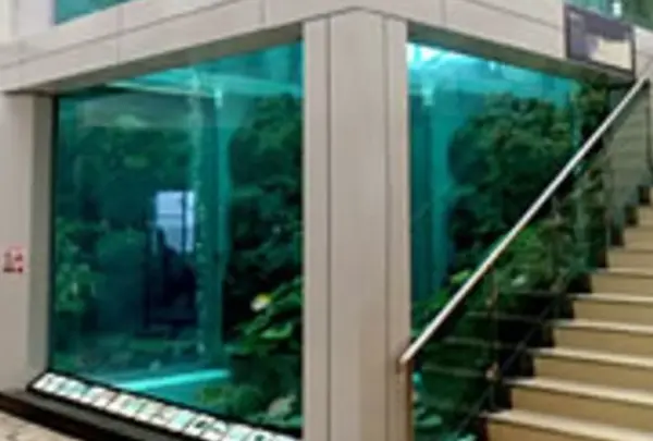 奄美海洋展示館