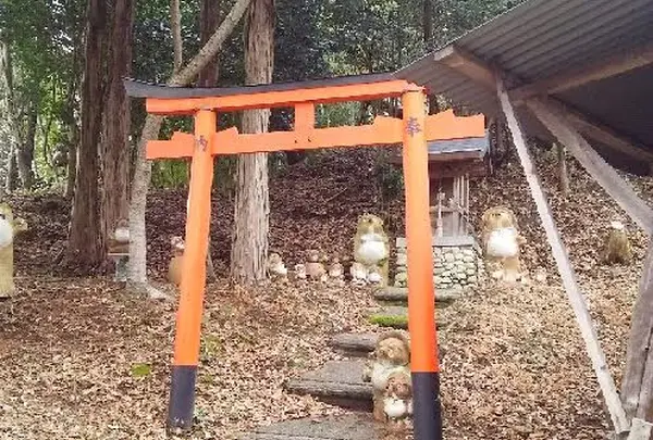 信楽陶芸村の写真・動画_image_126902