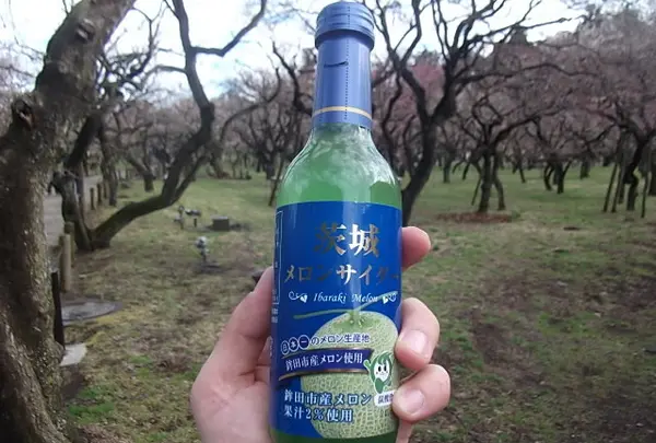 茨城メロンサイダー