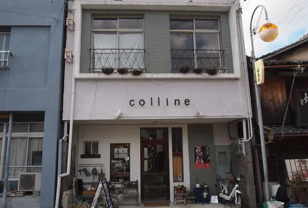 colline (コリン)の写真・動画_image_124399