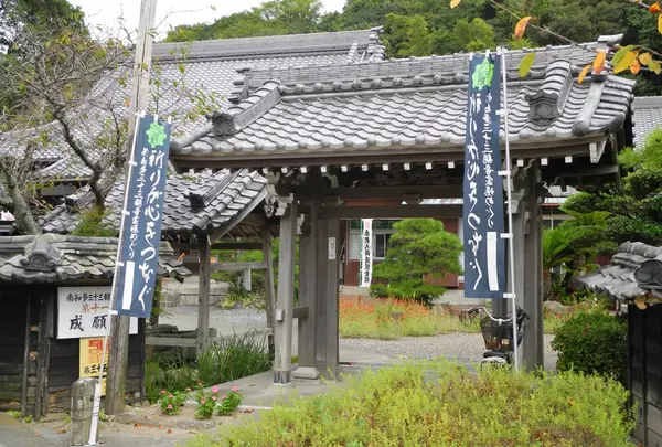 成願寺の写真・動画_image_131502