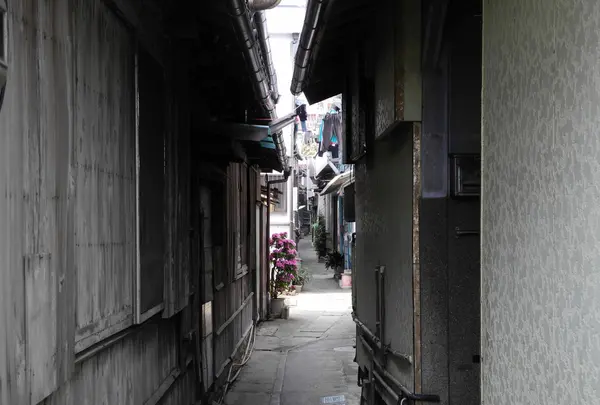 篠島ダンジョンの写真・動画_image_132015