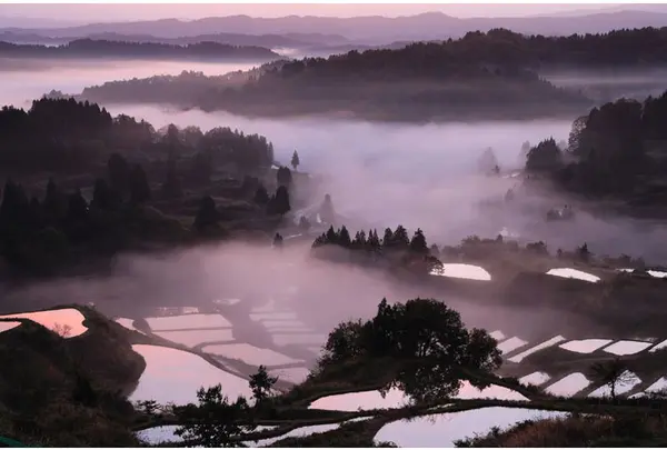 星峠の棚田