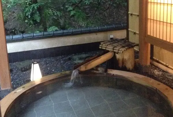 五頭今板温泉 湯本舘の写真・動画_image_25455