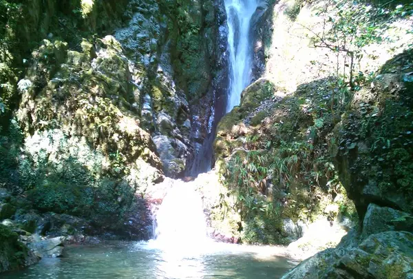 また公園麓から歩いて５分ほどで滝を見に行けます！