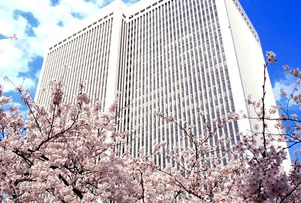 アークヒルズ桜並木