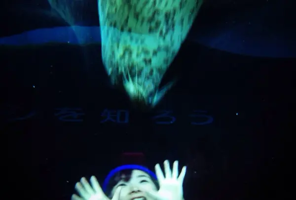 あざらし館の円柱水槽