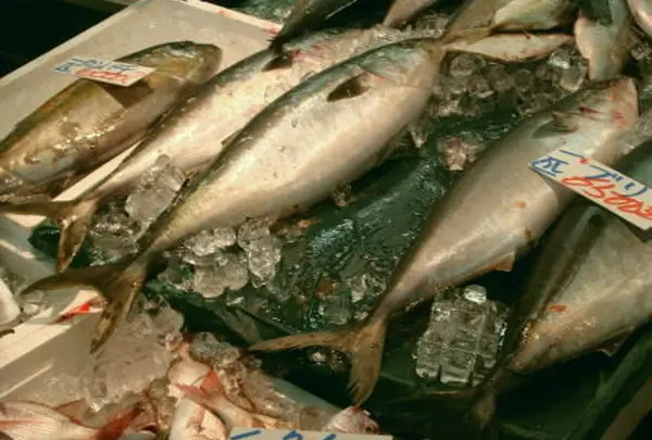 野田鮮魚店