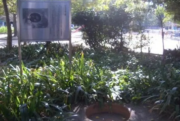 阿倍寺塔柱礎石、是斎屋跡