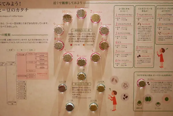 【休業中】UCCコーヒー博物館の写真・動画_image_61786