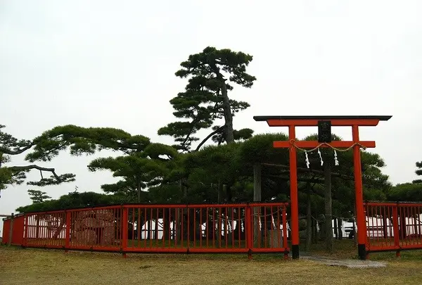 唐崎神社の写真・動画_image_176229