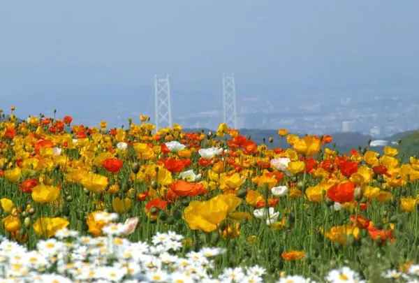 あわじ花さじき