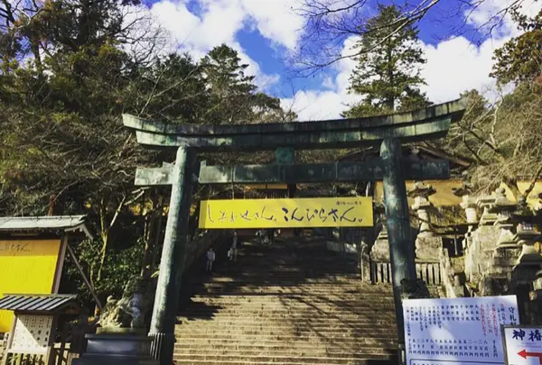 琴平山