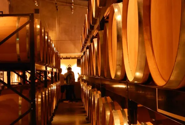 魚沼の里の写真・動画_image_153230